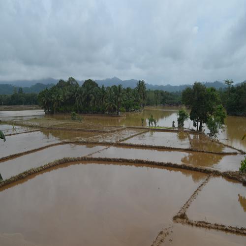 Kerusakan Lingkungan Picu Banjir Besar Sumbar